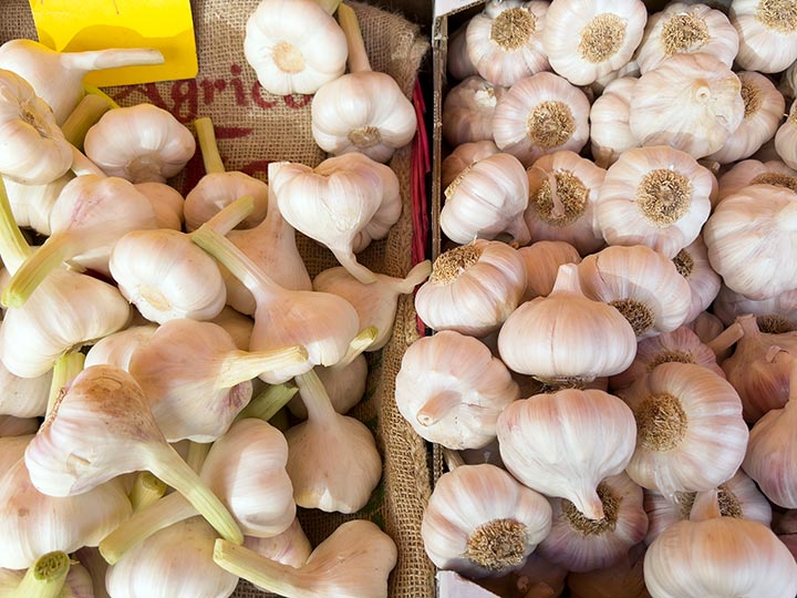 Wochenmarkt Bornheim Mitte Kartoffel, Süßkartoffel, Zwiebel, Knoblauch, Meerrettich und Kurkuma