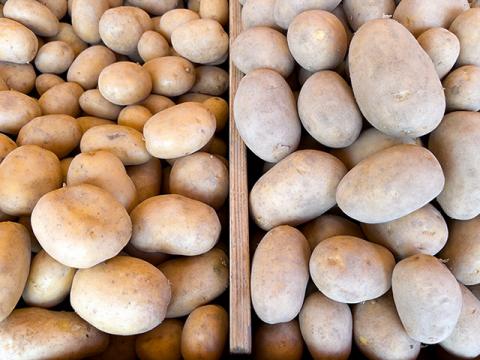Wochenmarkt Bornheim Mitte frische Kartoffel, Süßkartoffel, Zwiebel, Knoblauch, Meerrettich und Kurkuma