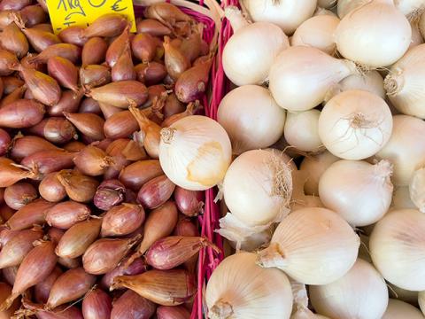 Wochenmarkt Bornheim Mitte frische Kartoffel, Süßkartoffel, Zwiebel, Knoblauch, Meerrettich und Kurkuma